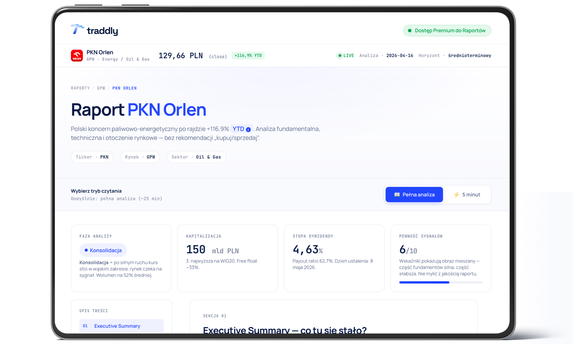 Przykładowy raport traddly — PKN Orlen